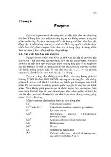 Giáo trình Hóa Sinh học - Chương 6 Enzyme