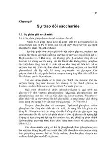 Giáo trình Hóa Sinh học - Chương 9 Sự trao đổi saccharide