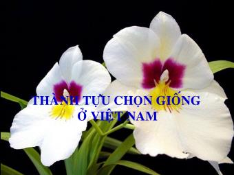 Thành tựu chọn giống ở Việt Nam