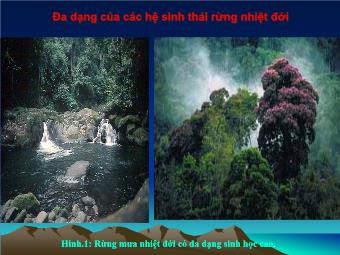 Bài giảng Địa lý 8 tiết 43: Bảo vệ tài nguyên sinh vật Việt Nam