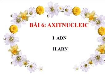 Bài giảng Sinh học 10 Bài 6: Axitnucleic