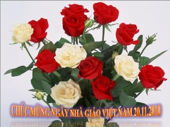 Chúc mừng ngày nhà giáo Việt Nam 20.11