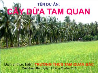 Dự án Cây dừa Tam Quan