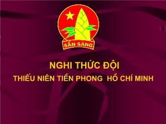 Nghi thức đội thiếu niên tiền phong Hồ Chí Minh (Phần 1)