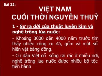 Bài giảng Lịch sử 10 bài 22: Việt Nam cuối thời nguyên thuỷ